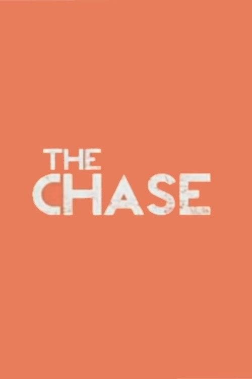 The Chase 2013 official movie poster