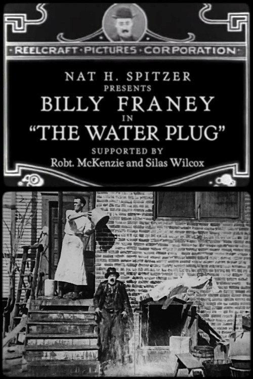 The Water Plug 1920 official movie poster