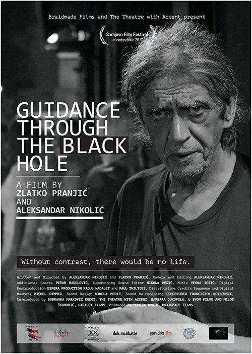 Guidance Through the Black Hole 2017 official movie poster