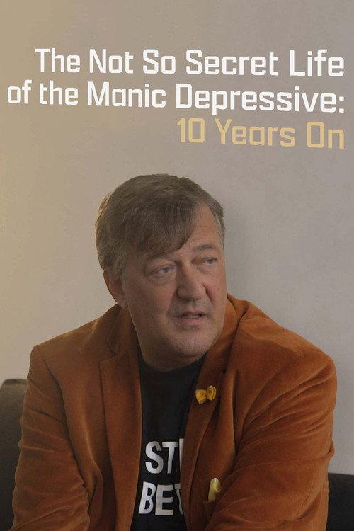 The Not So Secret Life of the Manic Depressive: 10 Years On 2016 official movie poster