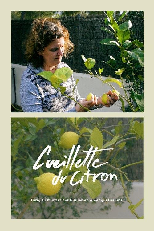 Cueillette du citron 2024 official movie poster