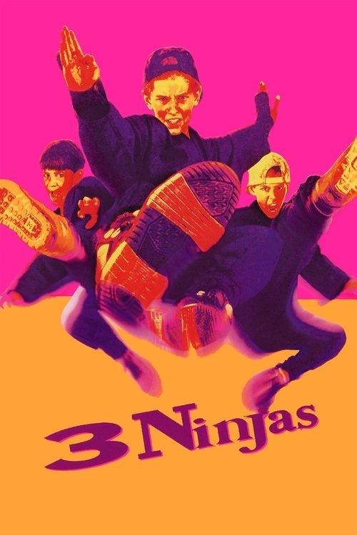 3 Ninjas 1992 official movie poster