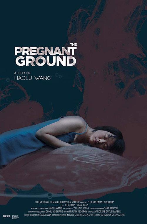 The Pregnant Ground 2019 official movie poster