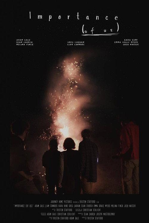 Importance (of Us) 2018 official movie poster