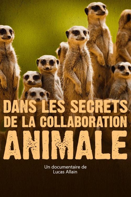 Dans les secrets de la collaboration animale 2021 official movie poster