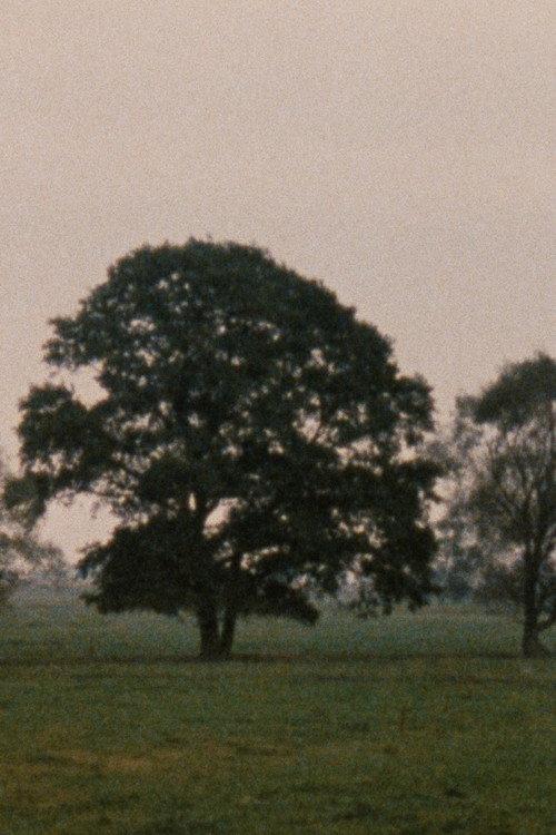Leute mit Landschaft 1988 official movie poster