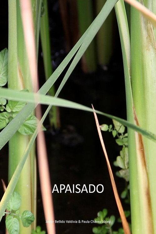 Apaisado 2020 official movie poster