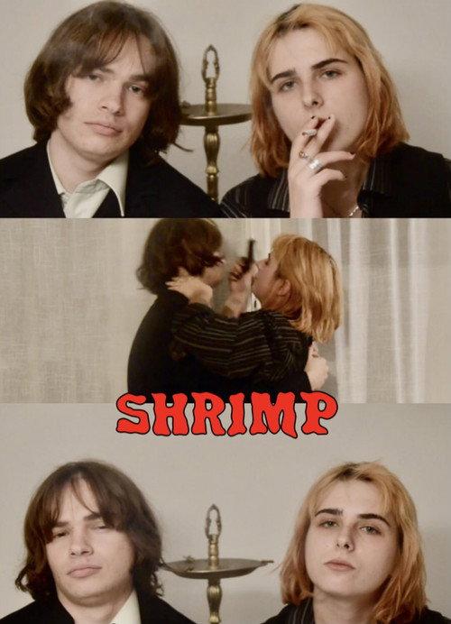 SHRIMP 2022 official movie poster