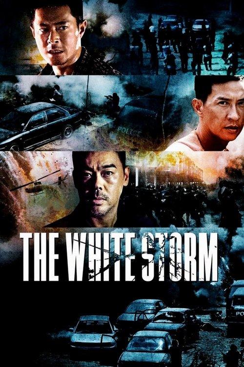 The White Storm 2013 official movie poster
