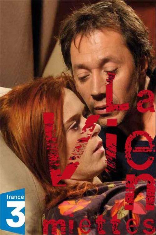 La Vie en miettes 2011 official movie poster