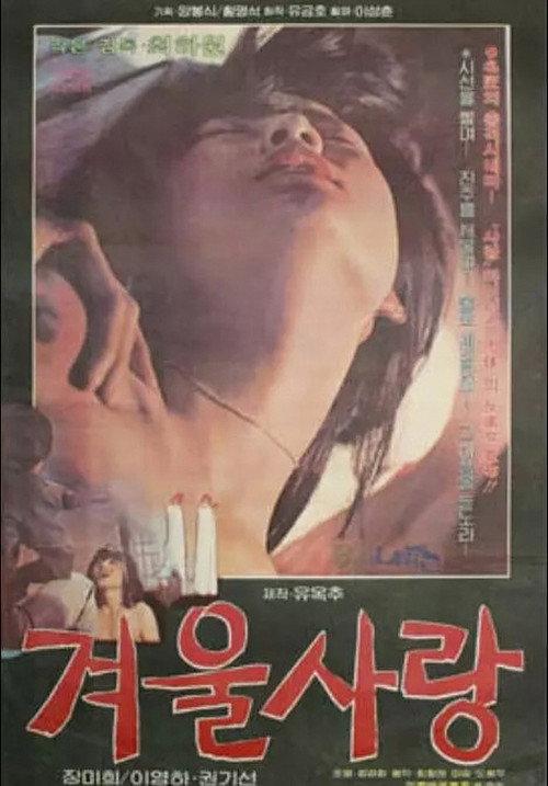 Winter Love 1980 official movie poster