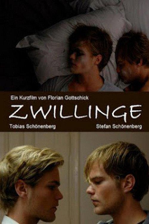 Twins 2010 official movie poster
