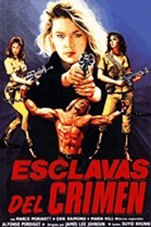 Slave of Crime 1987 official movie poster