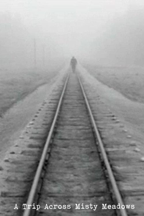 A Trip Across Misty Meadows 1973 official movie poster