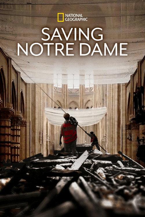 Saving Notre Dame 2020 official movie poster