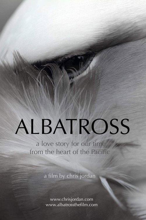 Albatross 2013 official movie poster