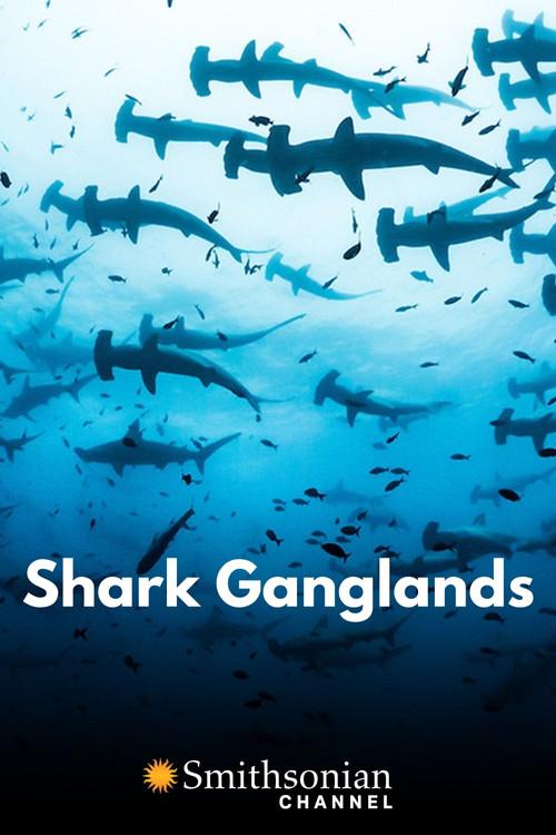 Shark Ganglands 2020 official movie poster