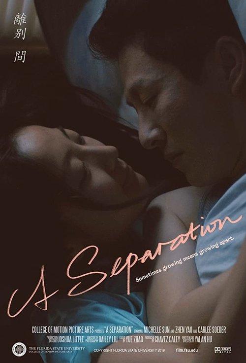 A Separation 2019 official movie poster