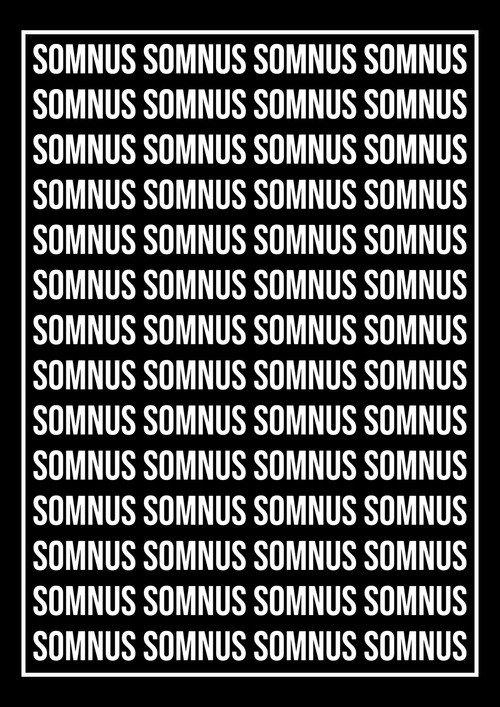 somnus 2024 official movie poster