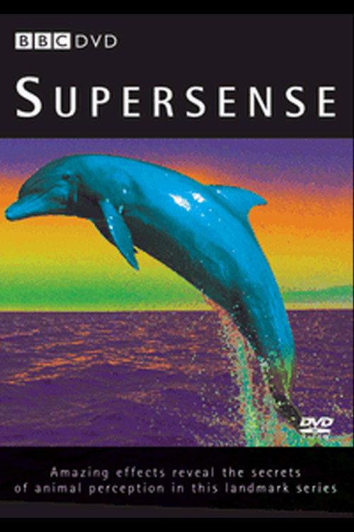 Supersense 1988 official movie poster
