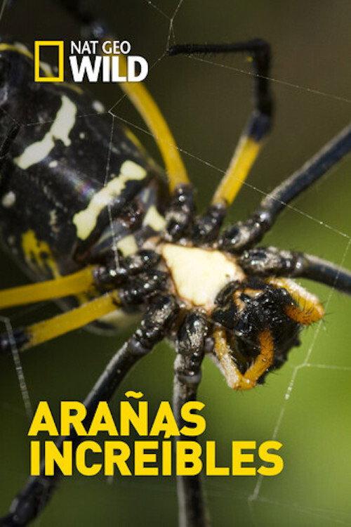 Incredible Spiders 2016 official movie poster