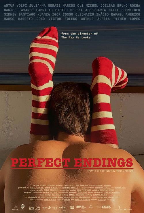 Perfect Endings 2024 official movie poster