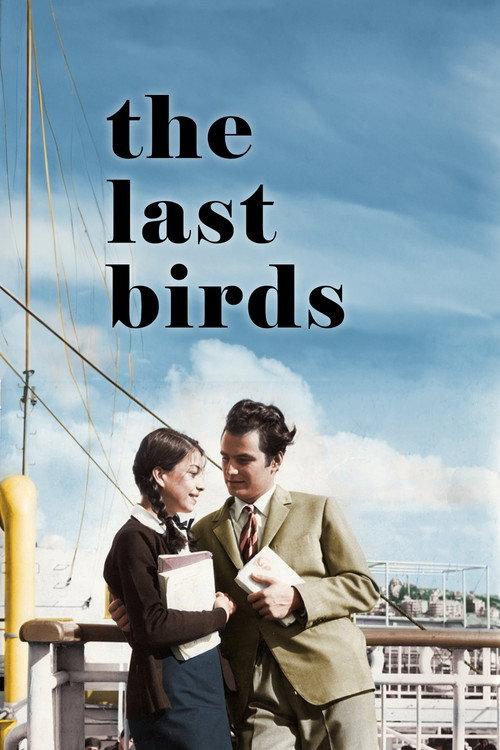 The Last Birds 1965 official movie poster