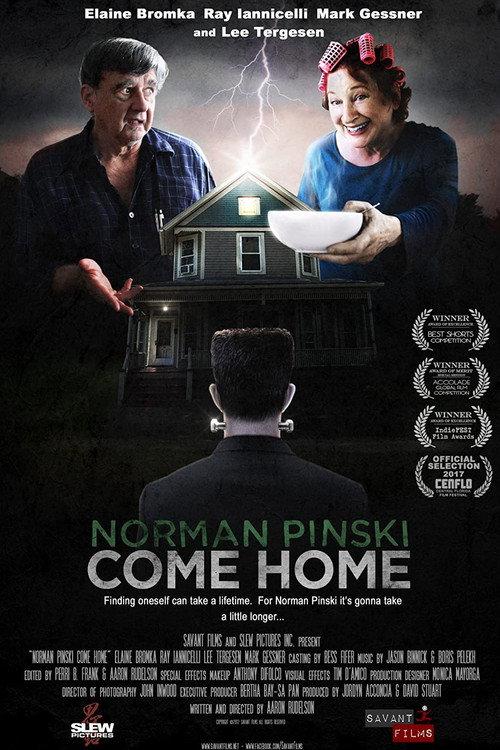 Norman Pinski Come Home 2017 official movie poster