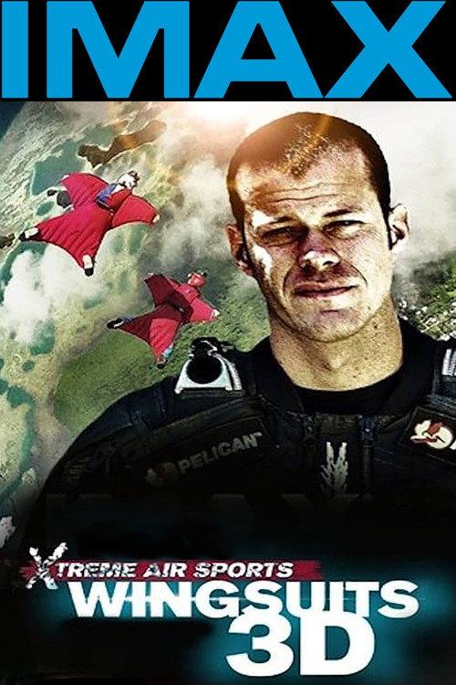 Wingsuit Warrior 2013 official movie poster