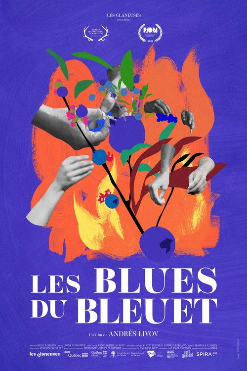 The Blueberry Blues 2026 official movie poster