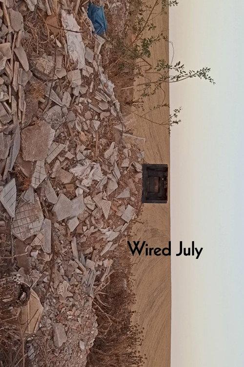 Wired July 2021 official movie poster