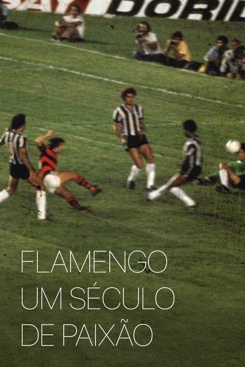 Flamengo: A Century of Passion 1995 official movie poster