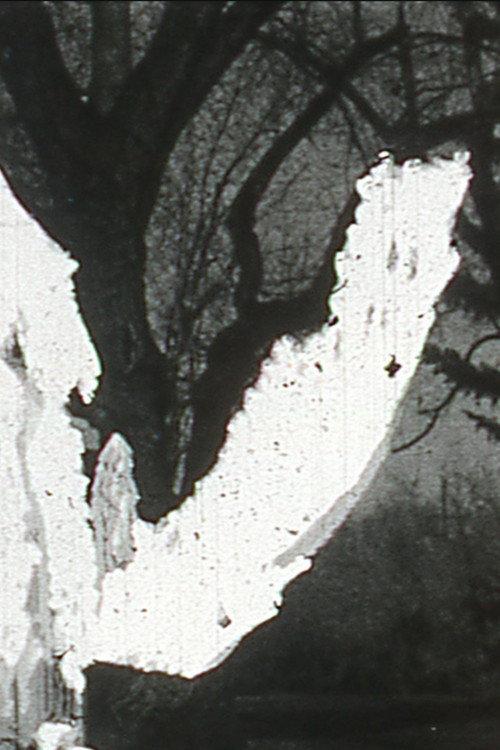 Black Vision 1965 official movie poster