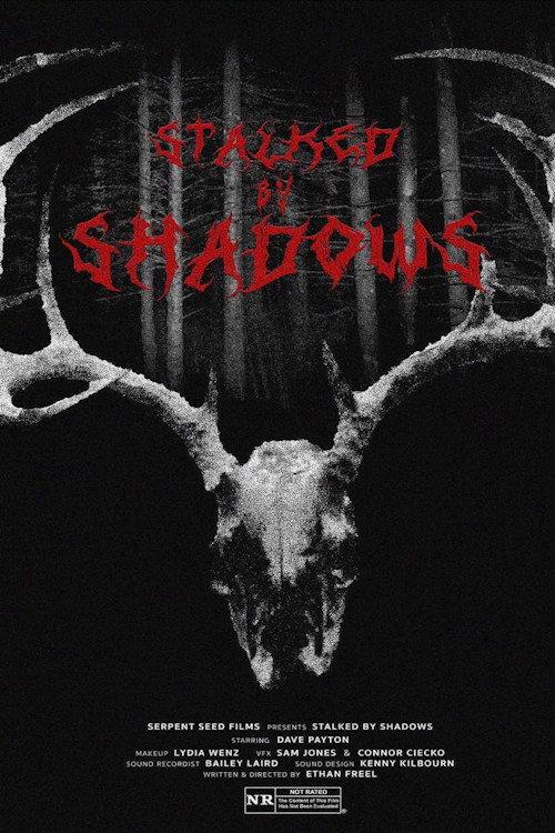 Stalked by Shadows 2024 official movie poster