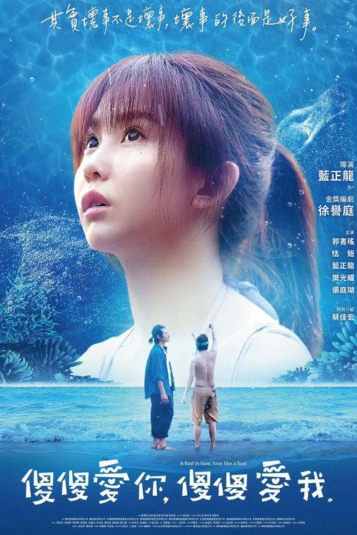 A Fool in Love, Love Like a Fool 2019 official movie poster
