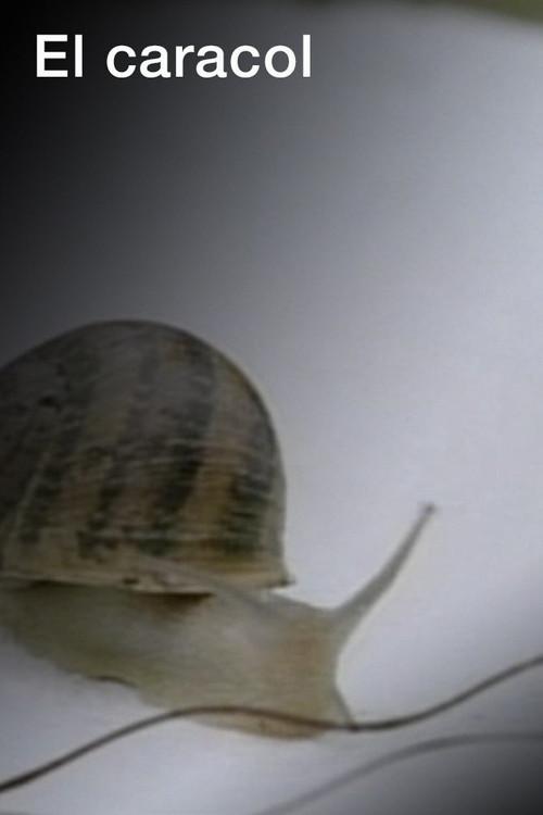 El caracol 2007 official movie poster