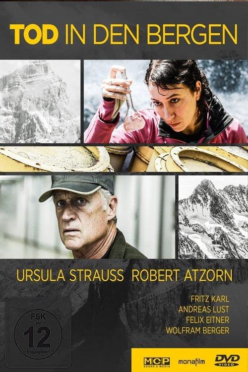 Tod in den Bergen 2013 official movie poster