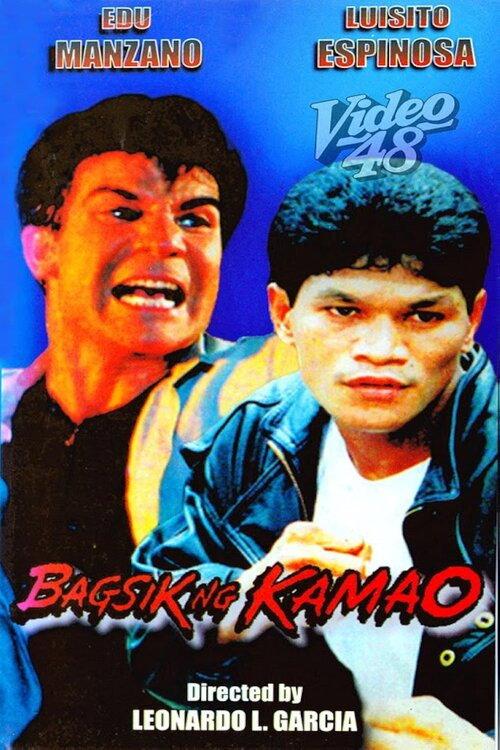 Bagsik ng kamao 1997 official movie poster