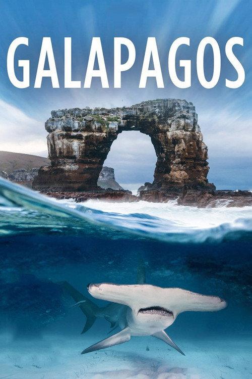 Galapagos 2013 official movie poster