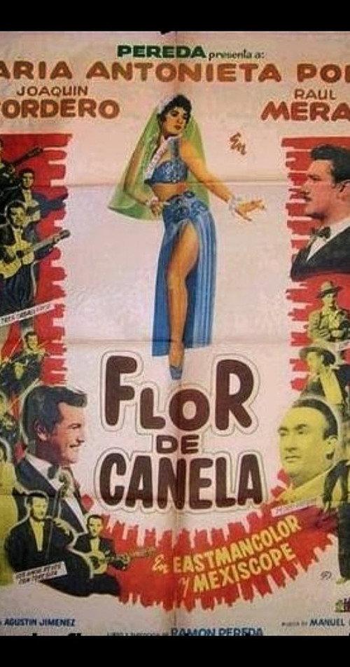 Flor de canela 1959 official movie poster