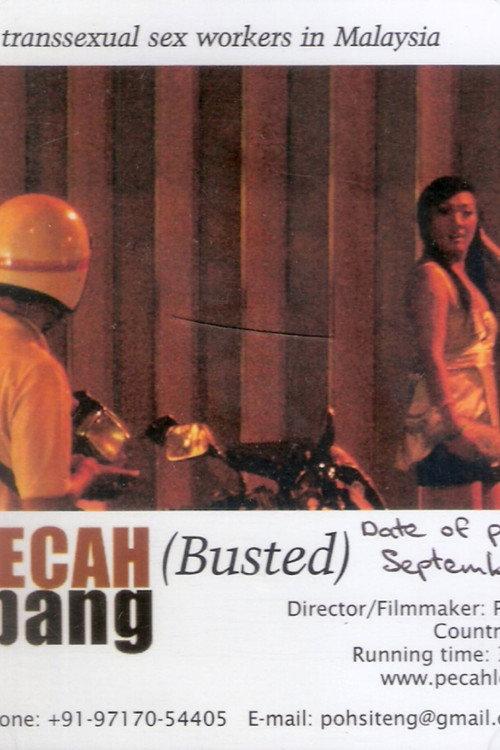 Busted 2008 official movie poster