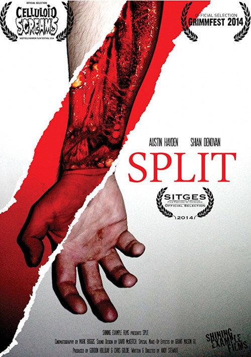 Split 2014 official movie poster