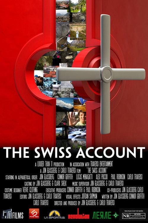 The Swiss Account 2011 official movie poster