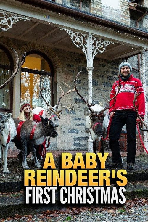 A Baby Reindeer's First Christmas 2020 official movie poster