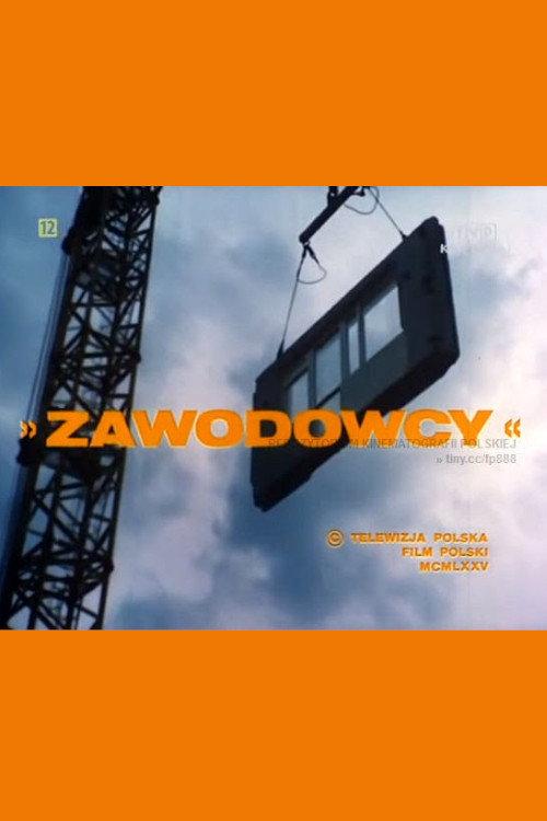 Zawodowcy 1975 official movie poster