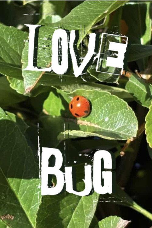 Lovebug 2026 official movie poster