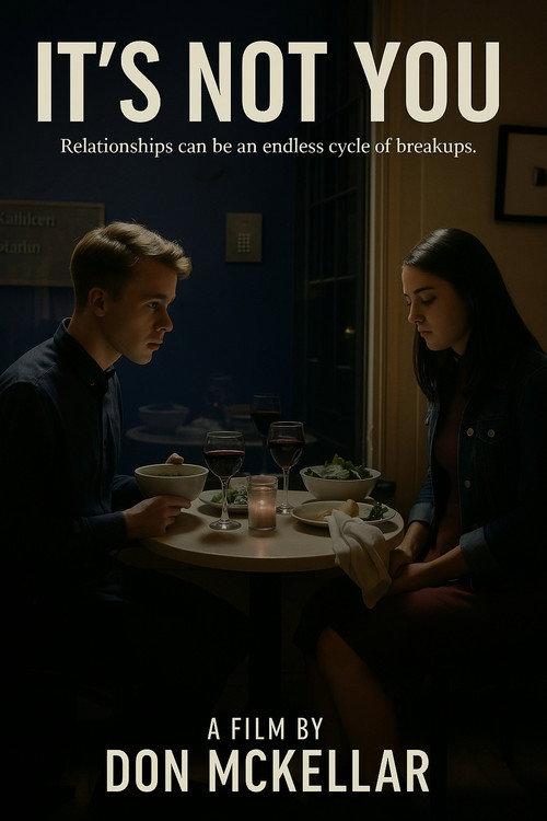 It's Not You 2015 official movie poster