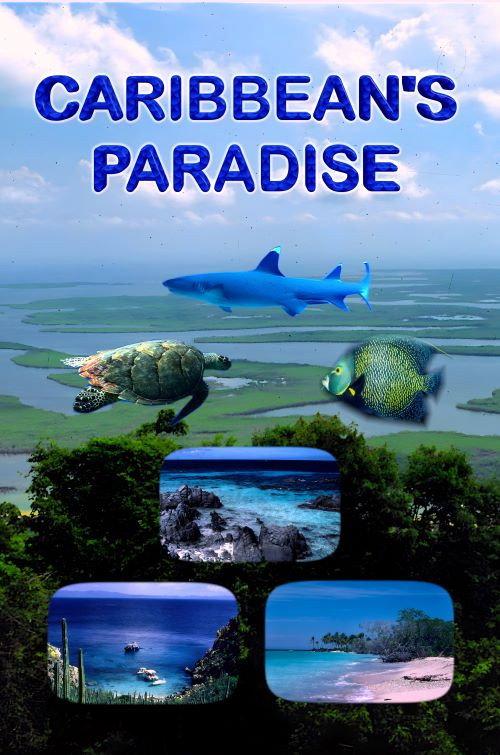 Caribbean's Paradise 2010 official movie poster