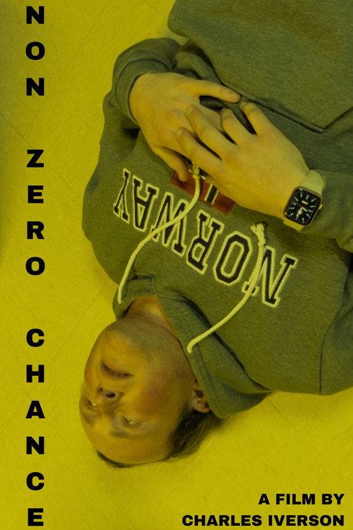 Non Zero Chance 2026 official movie poster