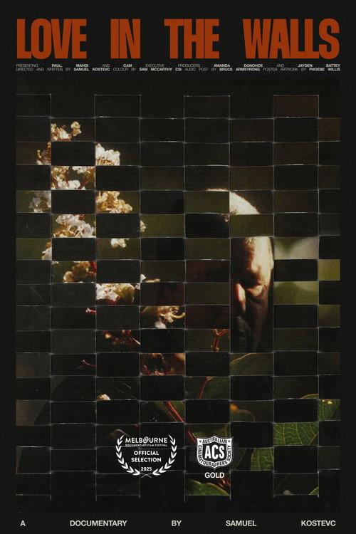 Love in the Walls 2025 official movie poster